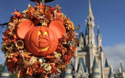 Nuevo espectáculo de fuegos artificiales para Mickey’s Not-So-Scary Halloween Party🎇