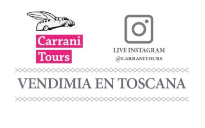 CARRANI TOURS Nos acerca un VIVO desde Toscana para disfrutar de la Vendimia!