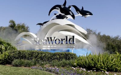 SEAWORLD anuncia nuevas atracciones para el 2021